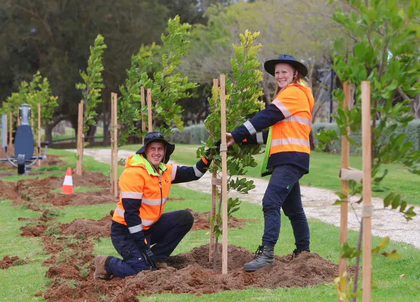 Tree planting at Stockwell Recreation Park