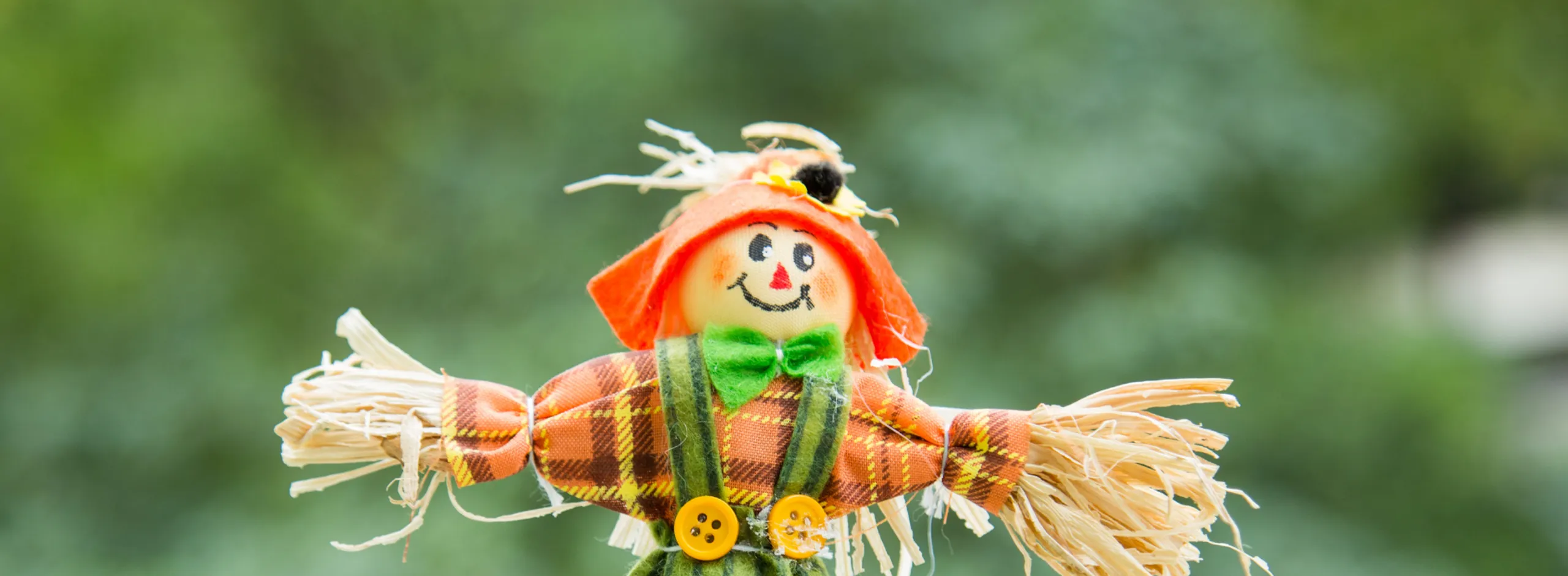 Mini scarecrow making website photo