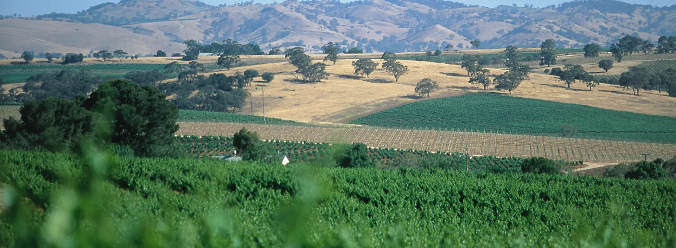 Barossa Water Security