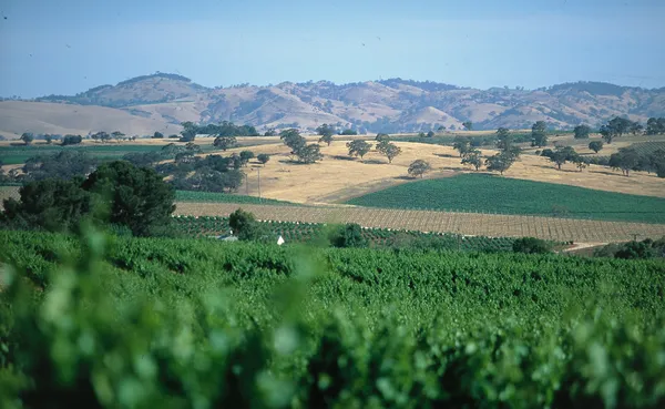 Barossa Water Security