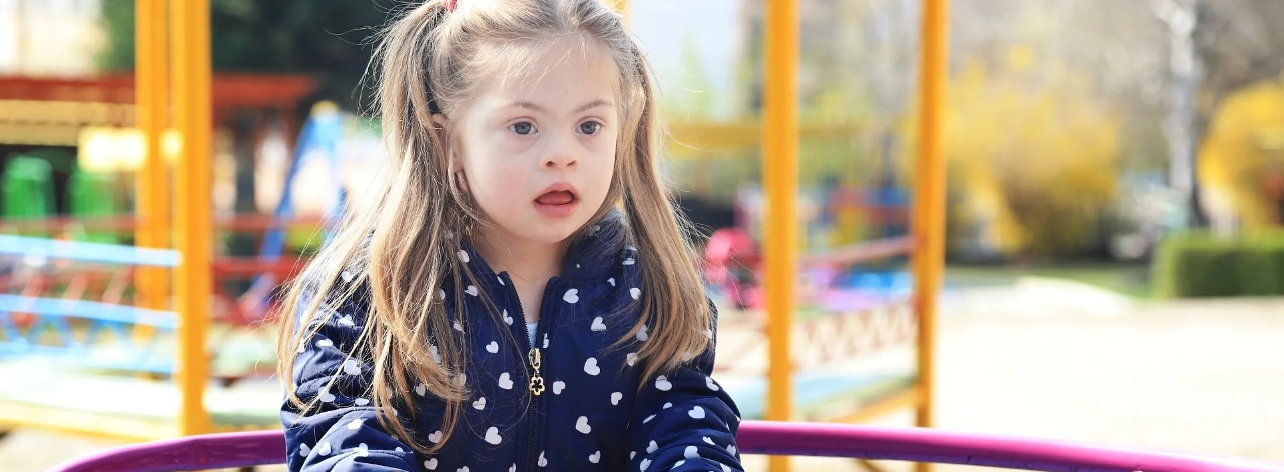Tanunda inclusive playground