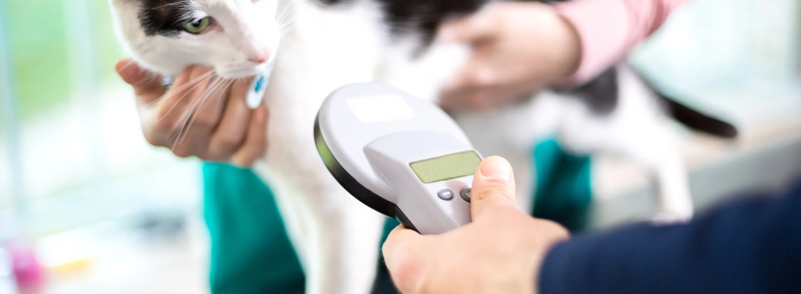 Cat microchip