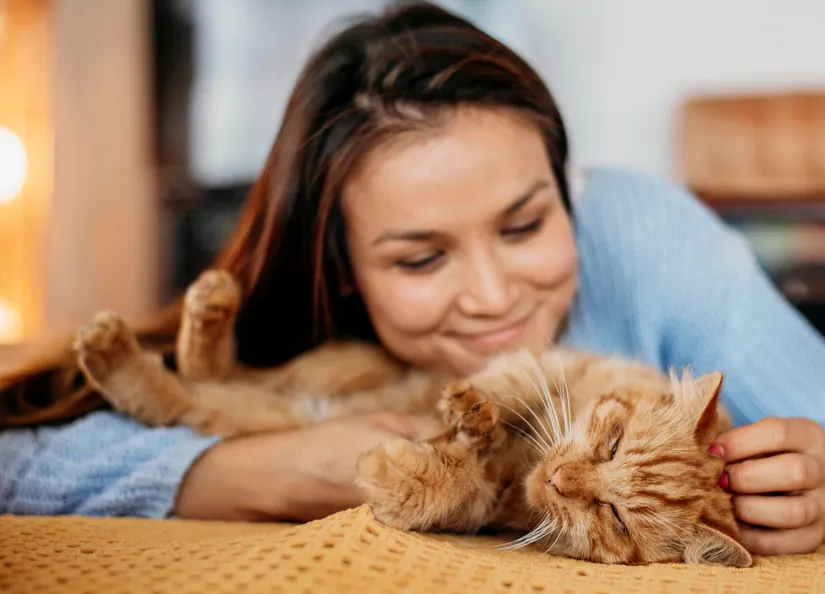 Cat owner