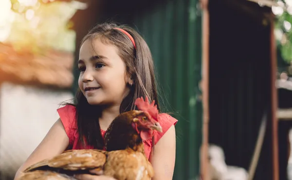 Chickens and roosters
