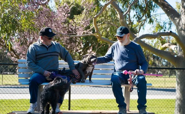 Dog owners