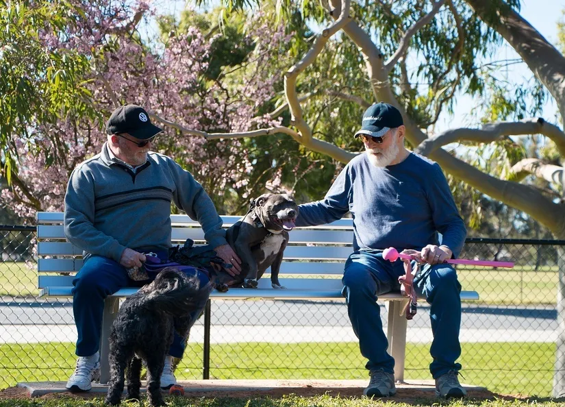 Dog owners