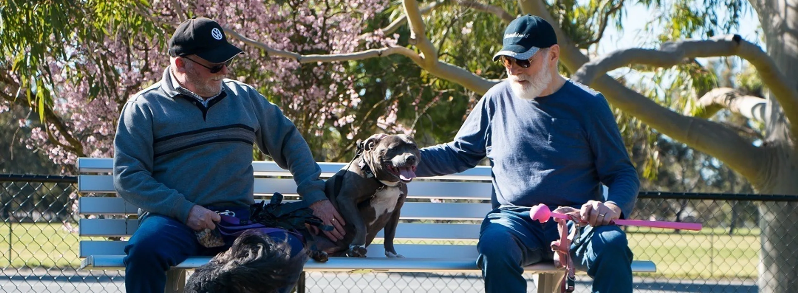 Dog owners