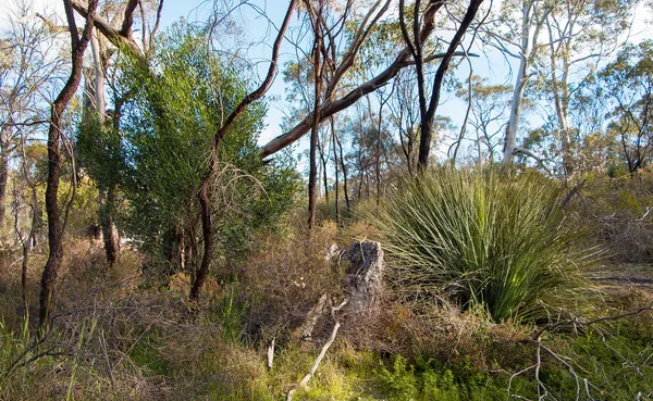 Event - Barossa Bushgardens site assessment webinar