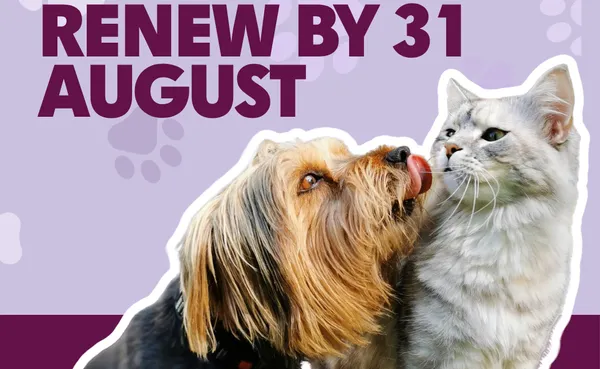 Dog and Cats rego 1