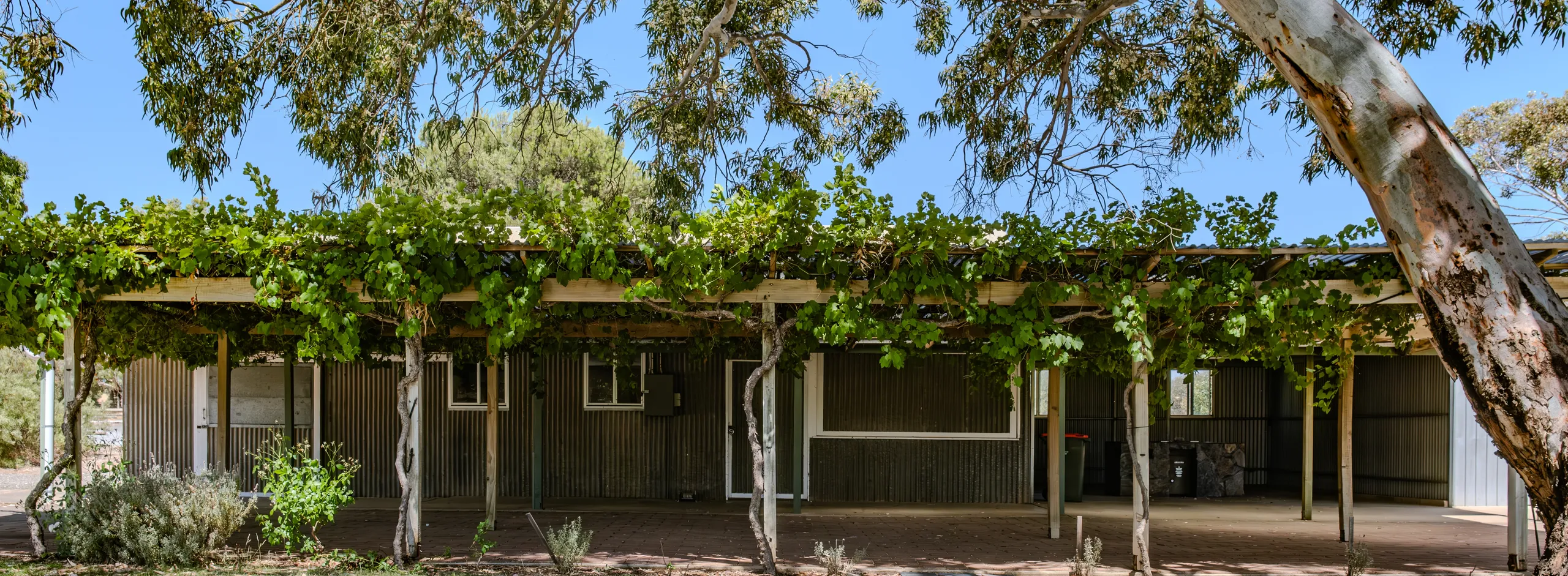 Moculta Oval 24