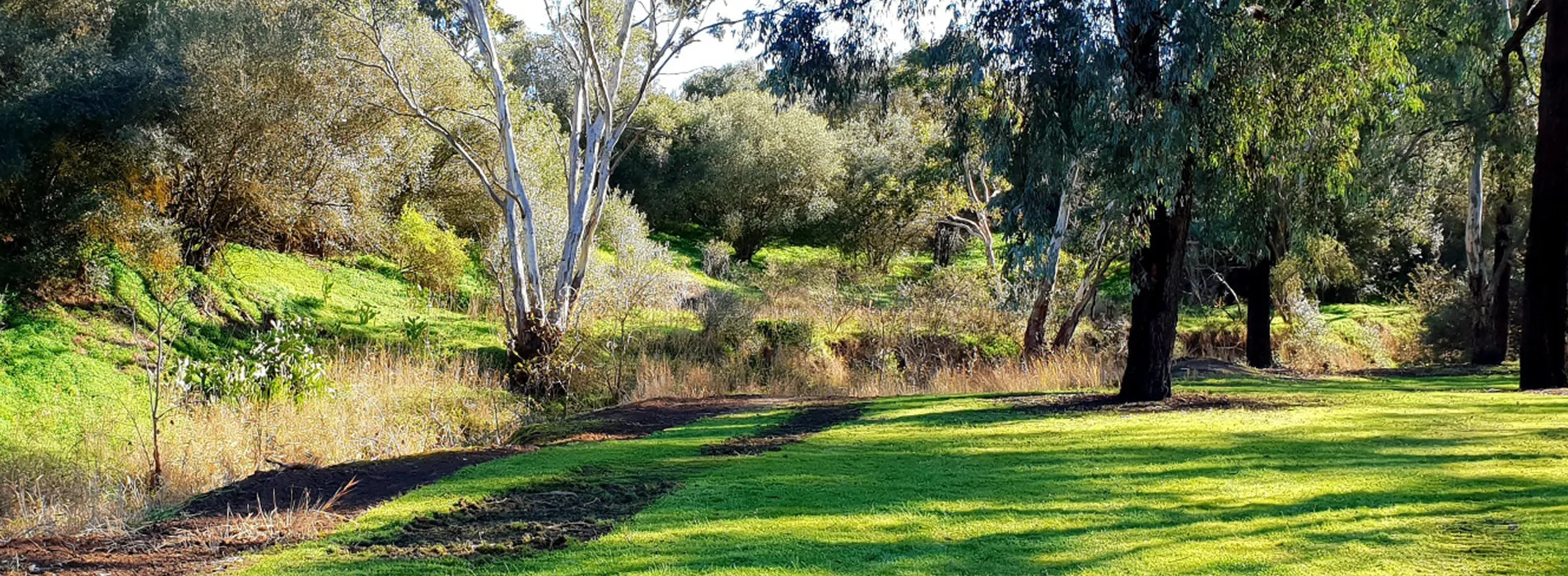 Heinemann Park