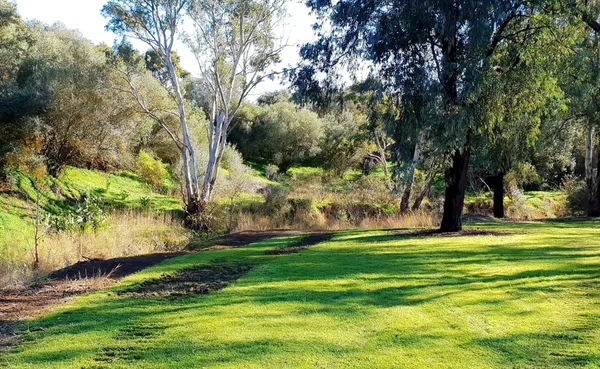 Heinemann Park