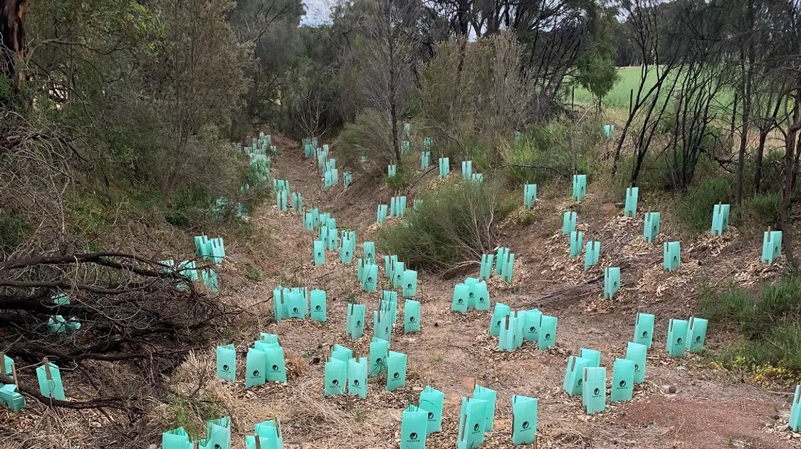 Parrot Hill Creek organisation photo