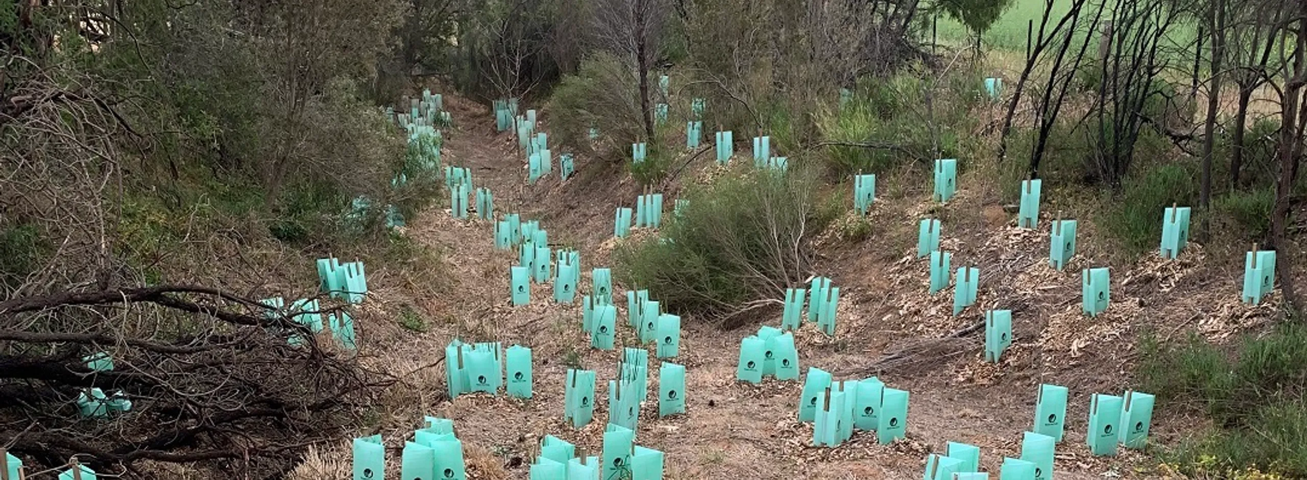 Parrot Hill Creek organisation photo