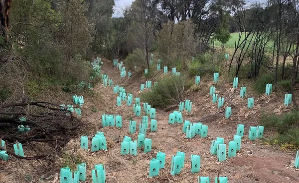 Parrot Hill Creek organisation photo