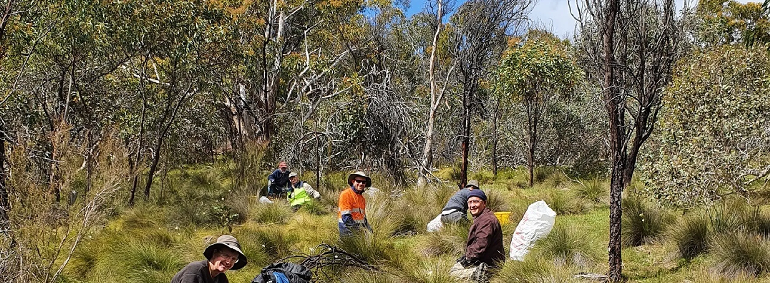 2 Trees for Life Volunteers tackling Pentameris pallida